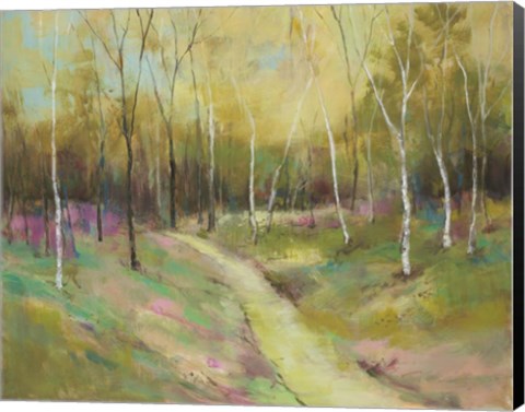 Framed Wooded Pathway II Print