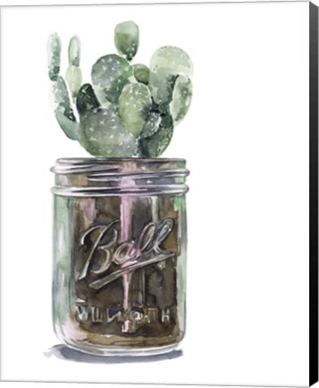 Framed Cactus Mason Jar II Print