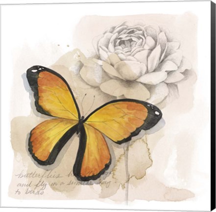 Framed Shadow Box Butterfly IV Print