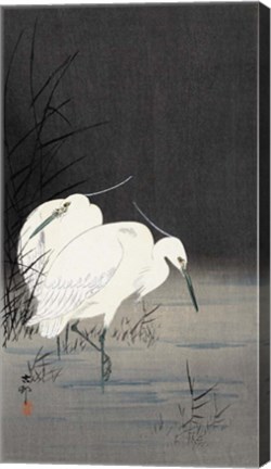 Framed Two Egrets in the Reeds, 1900-1930 Print