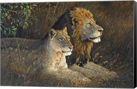 Framed Lions Domain Print