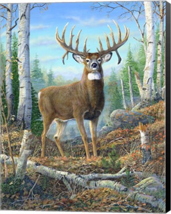 Framed Dream Buck Print