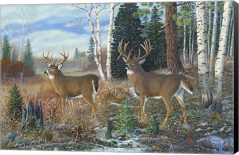 Framed Tall Timber Bucks Print