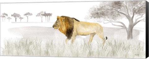 Framed Serengeti Lion horizontal panel Print