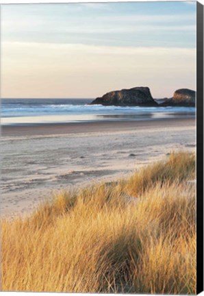 Framed Dune Grass And Beach I Print