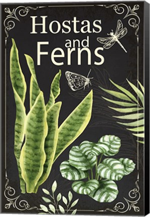 Framed Hostas and Ferns Print