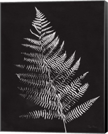 Framed Nature by the Lake Ferns VI Black Crop Print