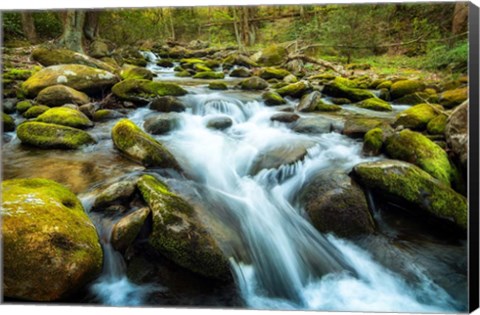 Framed Moss Rocks Print