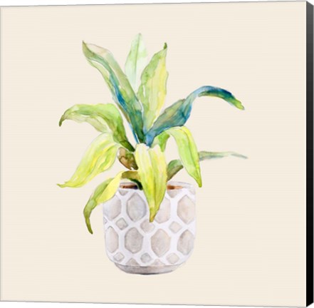 Framed Decorative Potted Plant I Print