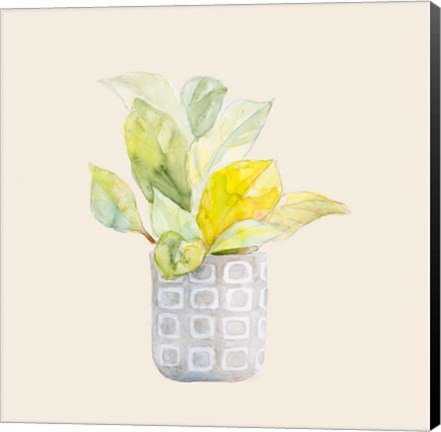 Framed Decorative Potted Plant II Print