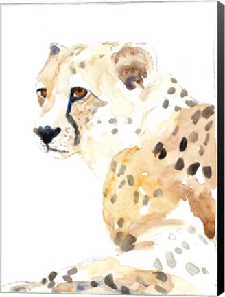 Framed Seated Cheetah Print