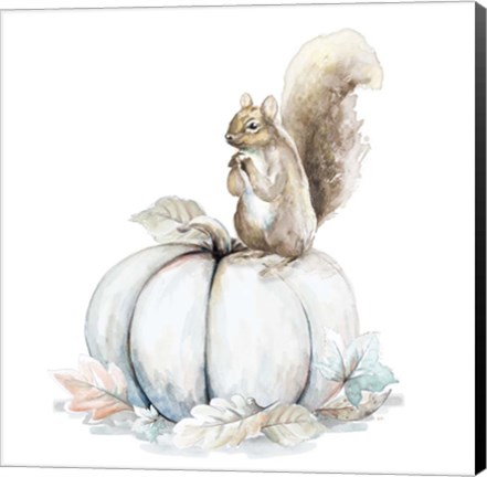 Framed Squirrel and Pumpkin II Print