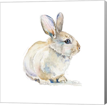 Framed Baby Rabbit Print