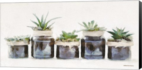 Framed Rustic Plants in a Row Print