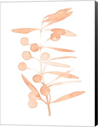 Framed Blush Olive Branch II Print