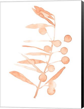 Framed Blush Olive Branch III Print