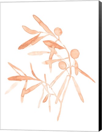 Framed Blush Olive Branch IV Print