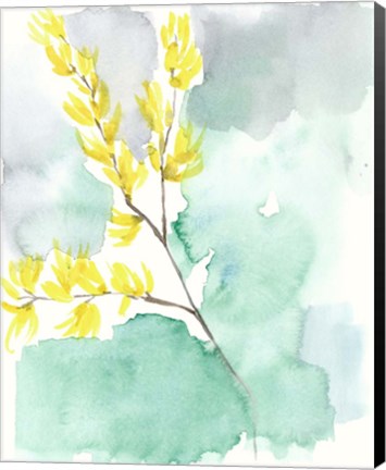 Framed Forsythia Dreams I Print