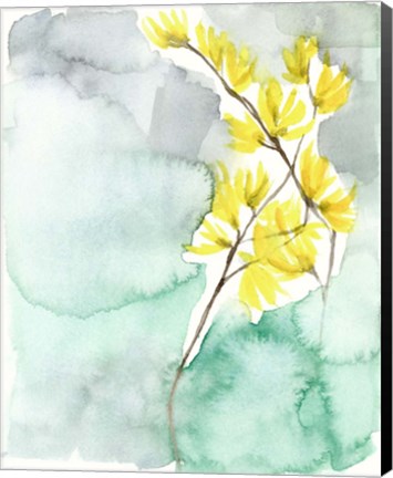 Framed Forsythia Dreams II Print