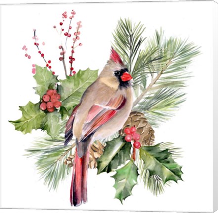 Framed Cardinal Holly Christmas II Print