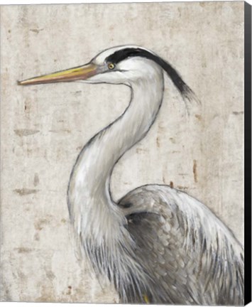 Framed Grey Heron II Print