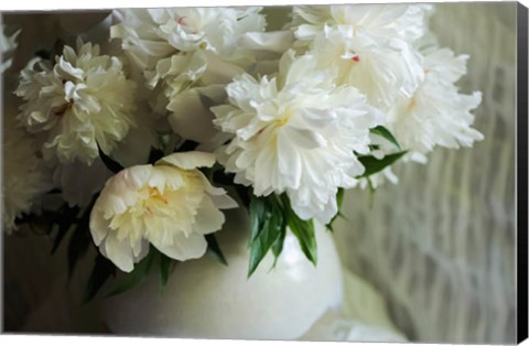 Framed White Peonies In Cream Pitcher 2 Print