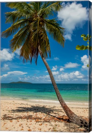 Framed Cramer Park Beach, St Croix, US Virgin Islands Print