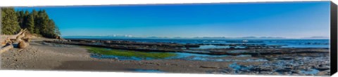 Framed Botanical Beach Panorama Print