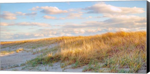 Framed Grassy Dunes Panorama Print