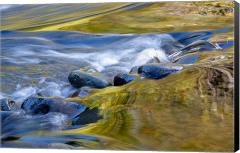 Framed Oregon Abstract Of Autumn Colors Reflected In Wilson River Rapids Print