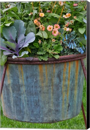 Framed Planter, Chanticleer Garden, Pennsylvania Print