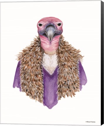 Framed Vulture in a Vest Print