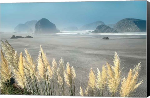 Framed Pampas Beach Print