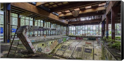 Framed Abandoned Resort Pool, Upstate NY (detail) Print