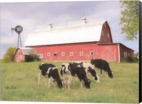 Framed Henderson Cows Print