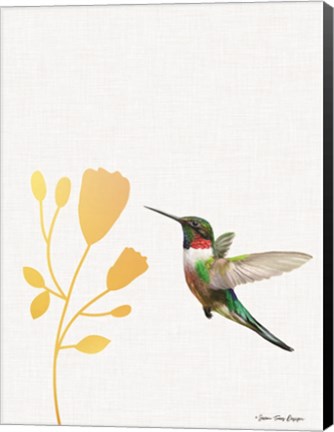 Framed Hummingbird and the Flower Print