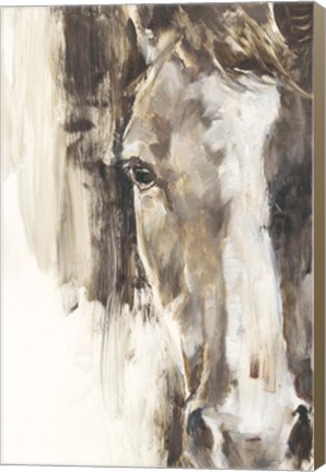 Framed Cropped Equine Study I Print