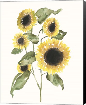 Framed Sunflower Composition I Print