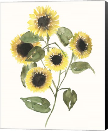 Framed Sunflower Composition II Print