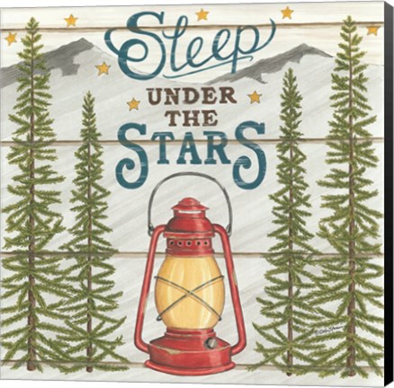 Framed Sleep Under the Stars Print