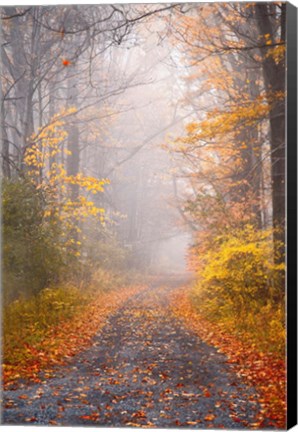 Framed Road and Autumn Mist Print