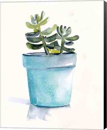 Framed Potted Succulent II Print