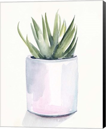 Framed Potted Succulent III Print