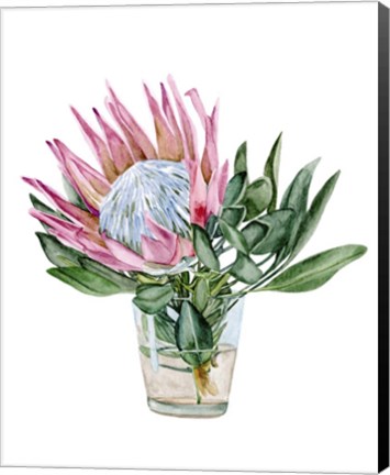 Framed Awaken Protea II Print