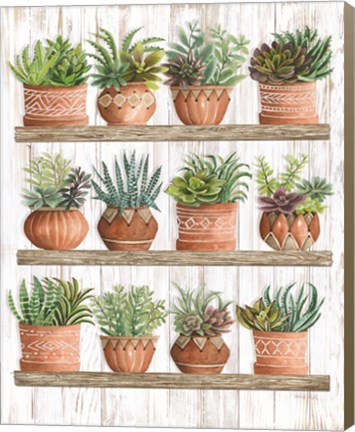 Framed Succulents on Shelves Print