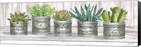 Framed Galvanized Pot Succulents II Print