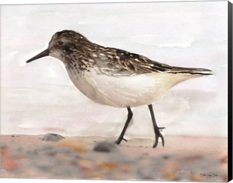 Framed Sandpiper 2 Print