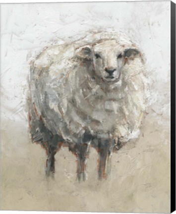 Framed Fluffy Sheep II Print