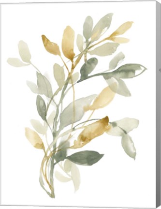 Framed Sage &amp; Sienna Leaves II Print