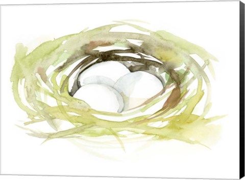 Framed Watercolor Nest II Print